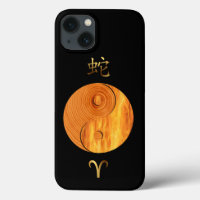 Wood Snake Year and Aries Fire sign case