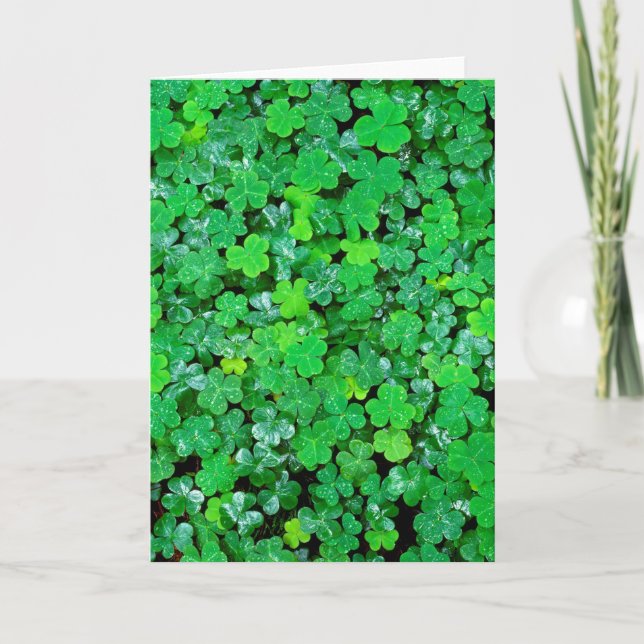 Wood Sorrel In Spring Card (Front)
