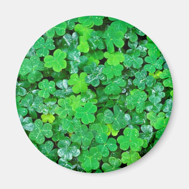 Wood Sorrel In Spring Magnet (Front)