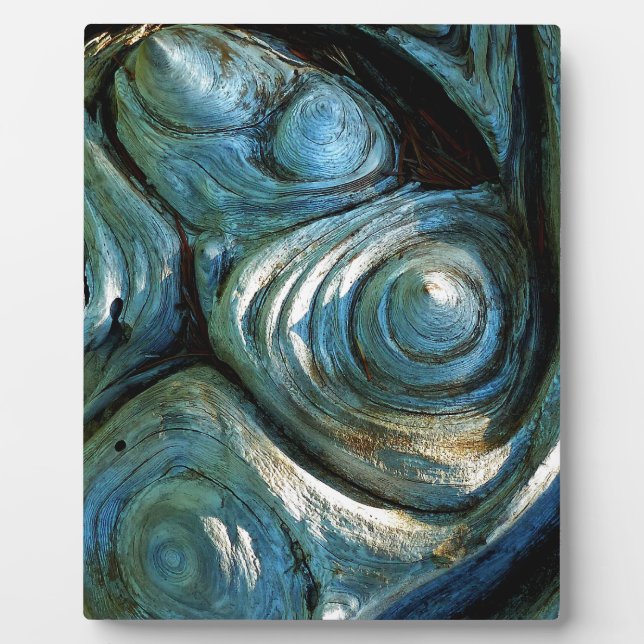 Wood Spirals Plaque (Front)
