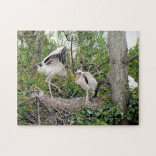 Wood Stork Chicks - Nest - Playin  - Bird - Puzzle