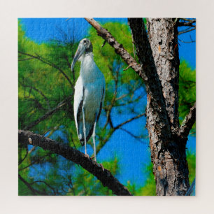 Wood Stork Florida Jigsaw Puzzle