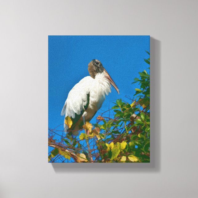 Wood Stork in a Tree Canvas Print (Front)