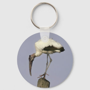 Wood Stork Keychain