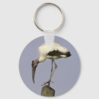 Wood Stork Keychain