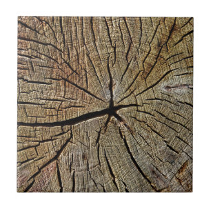 Wood Texture Grain Tree Year Rings Pattern Tile
