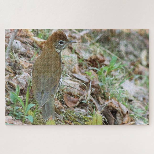 Wood Thrush  Jigsaw Puzzle (Horizontal)