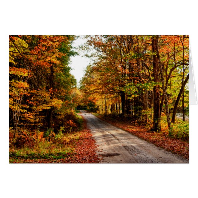 Wood trail with fall foliage (Front Horizontal)
