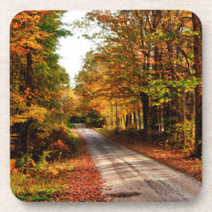 Wood trail with fall foliage coaster