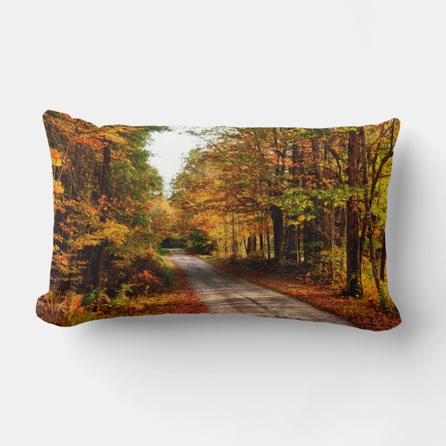 Wood trail with fall foliage lumbar pillow (Front)
