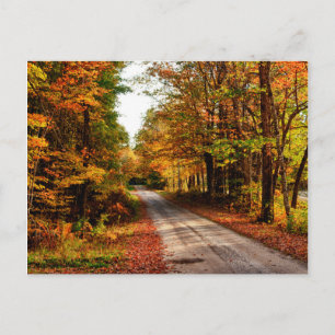 Wood trail with fall foliage postcard