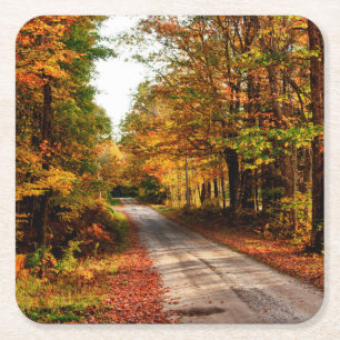 Wood trail with fall foliage square paper coaster