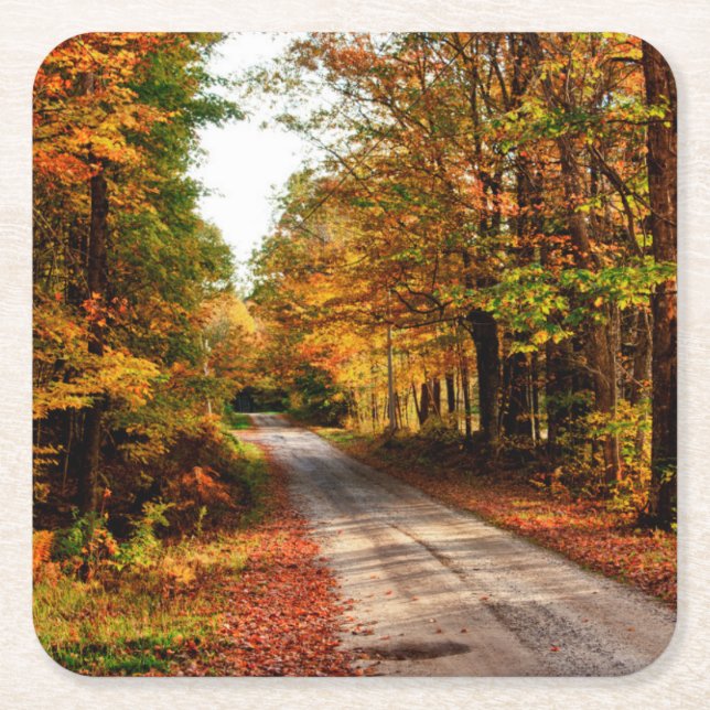Wood trail with fall foliage square paper coaster (Front)