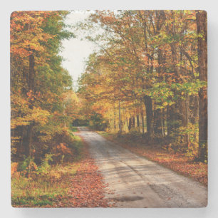 Wood trail with fall foliage stone coaster