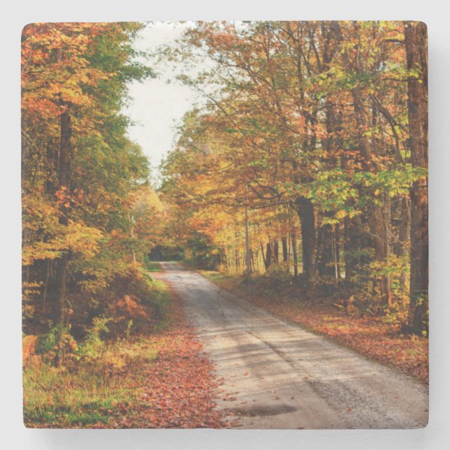 Wood trail with fall foliage stone coaster (Front)