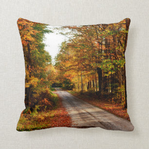 Wood trail with fall foliage throw pillow