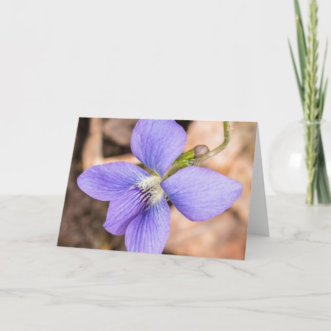 Wood Violet Wildflower Notecard (Front)