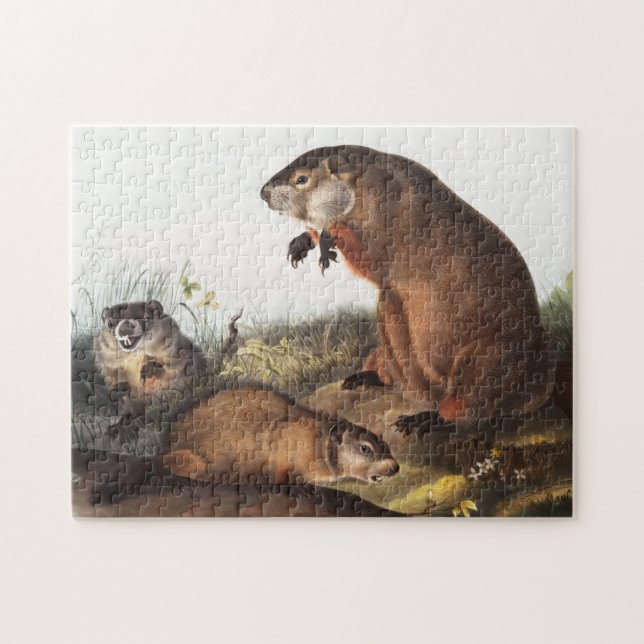Woodchuck (Arctomys monax) Illustration Jigsaw Puzzle (Horizontal)