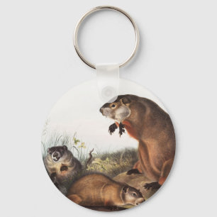 Woodchuck (Arctomys monax) Illustration Keychain