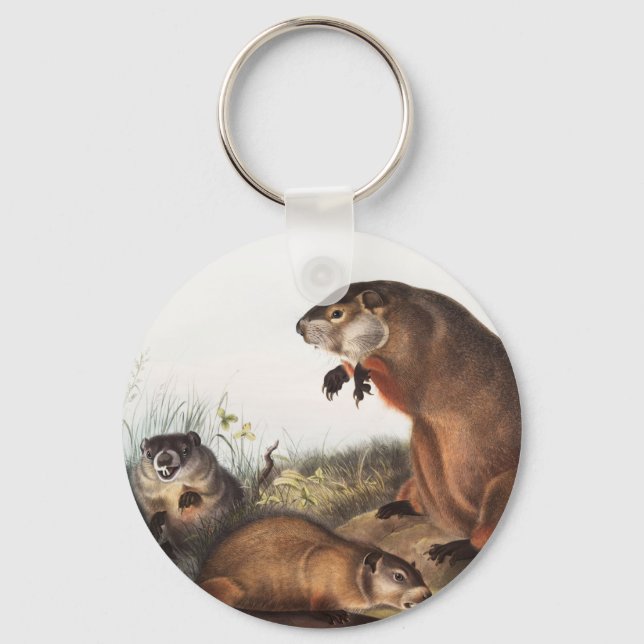 Woodchuck (Arctomys monax) Illustration Keychain (Front)