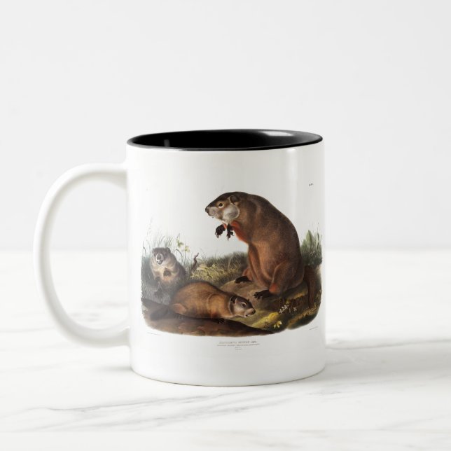 Woodchuck Camping Deco Gifts Two-Tone Coffee Mug (Left)