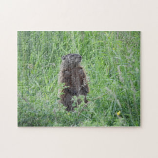 Woodchuck de la marmotte debout dans le puzzle de 