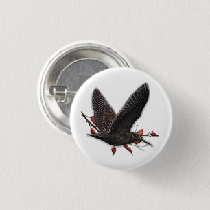 Woodcock  1 inch round button