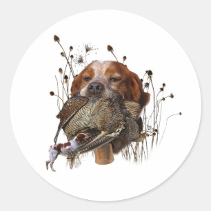 Woodcock hunting with Brittany Spaniel     Classic Round Sticker