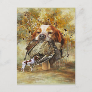 Woodcock hunting with Brittany Spaniel   Postcard
