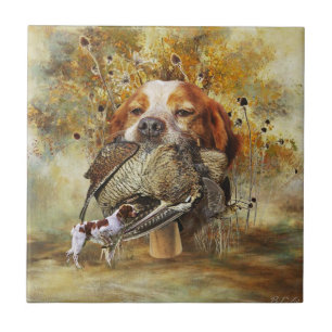 Woodcock hunting with Brittany Spaniel Tile