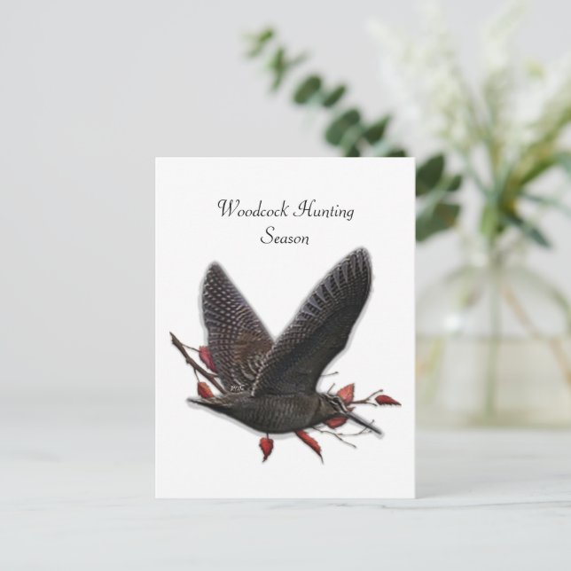 Woodcock  postcard (Standing Front)