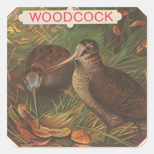 Woodcock Square Sticker (Front)