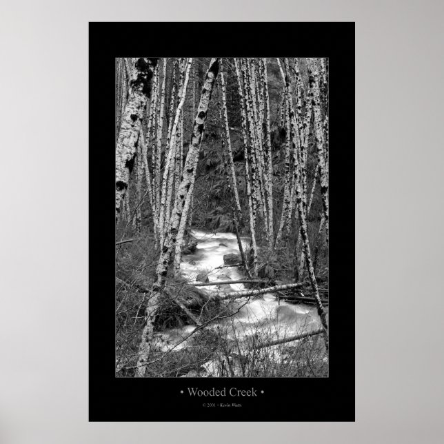 Wooded Creek Poster (Front)