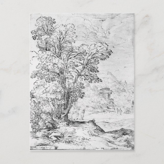 Wooded landscape postcard (Front)