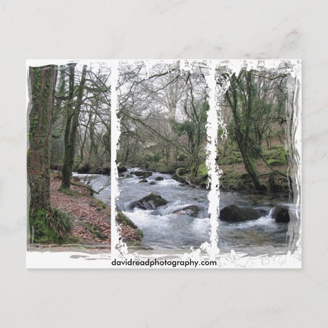 Wooded stream postcard (Front)