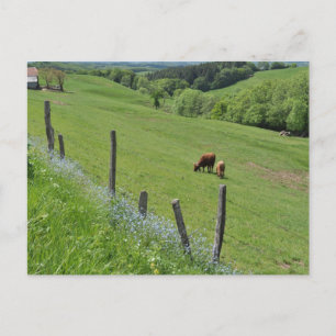 Wooded valley, Auvergne Postcard