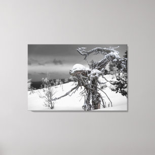Wooden alien in winter setting canvas print