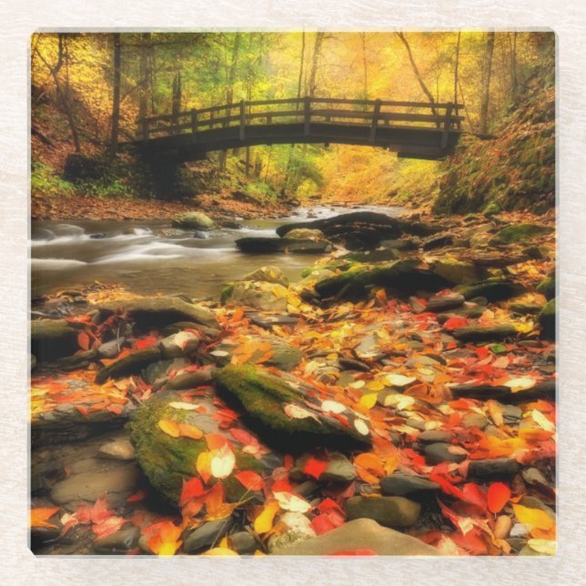 Wooden Bridge and Creek in Fall Glass Coaster (Front)