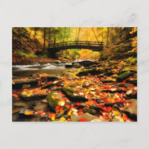 Wooden Bridge and Creek in Fall Postcard