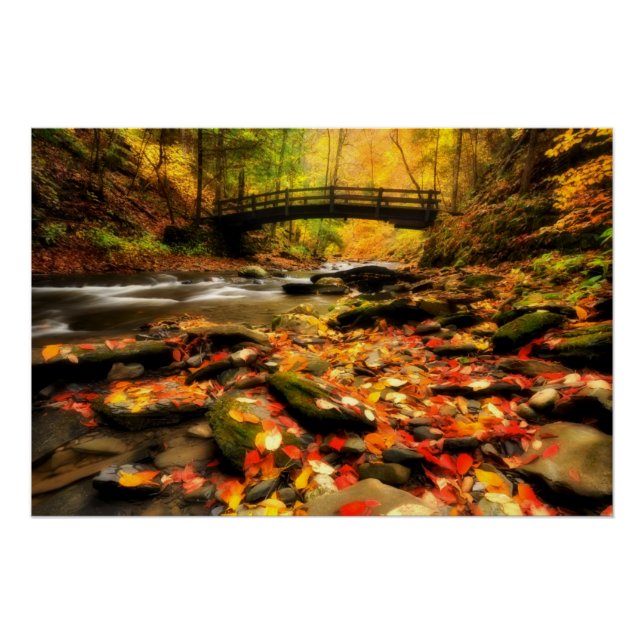 Wooden Bridge and Creek in Fall Poster (Front)