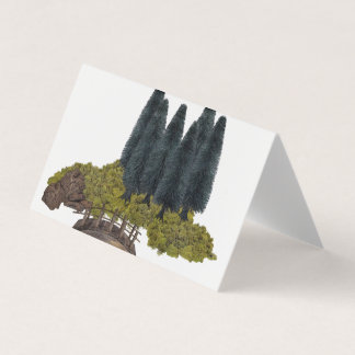 Wooden bridge in the mountain forest