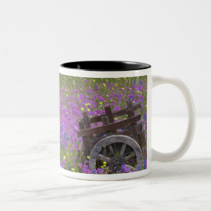 Wooden Cart in field of Phlox, Blue Bonnets with Two-Tone Coffee Mug