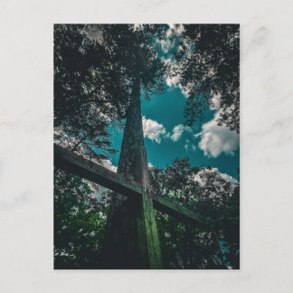 Wooden Cross Looking Up Red Hill Cemetery Postcard