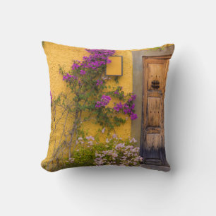 Wooden doorway throw pillow