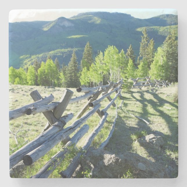 Wooden Fenceline Stone Coaster (Front)