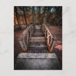 Wooden Footbridge With Forest Path Postcard