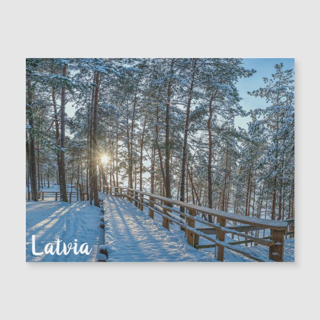 Wooden path across snowy winter forest (Front)