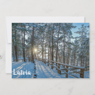 Wooden path across snowy winter forest