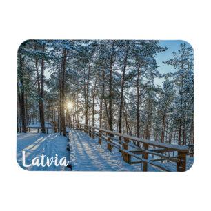 Wooden path across snowy winter forest magnet