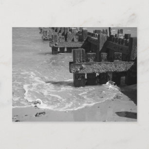 "Wooden Sea Defences" Postcard
